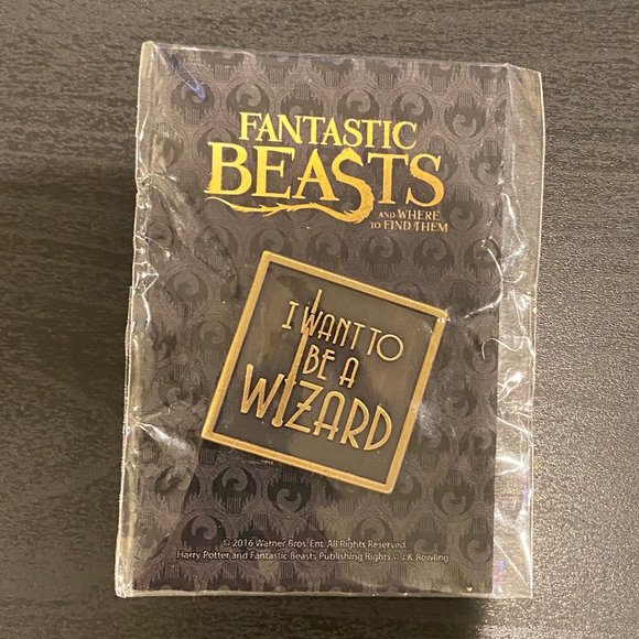 “I want to be a Wizard” Pin - Picture 1 of 2